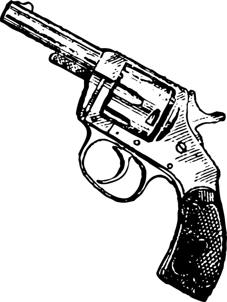 gun, revolver, pistol-306921.jpg